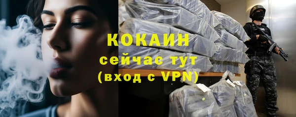 скорость Вяземский
