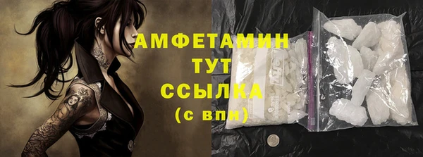 скорость Вяземский