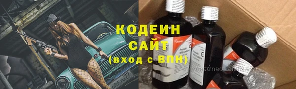 скорость Вяземский