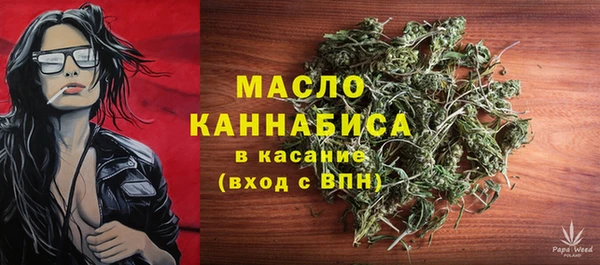 скорость Вяземский