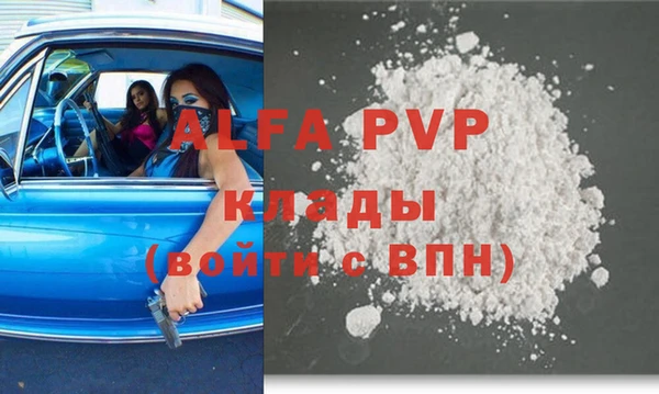 скорость Вяземский