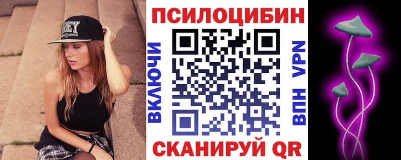Купить где  Сафоново  Псилоцибиновые грибы GOLDEN TEACHER 